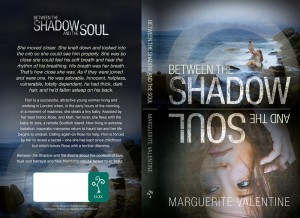 Between the Shadow and Soul cover